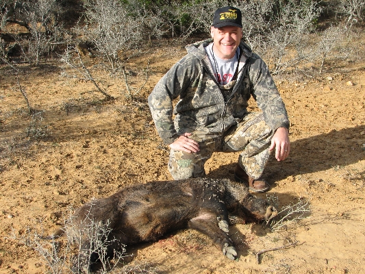 Wild_Hog_2_small