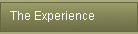 The Experience
