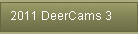 2011 DeerCams 3
