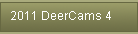 2011 DeerCams 4
