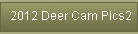 2012 Deer Cam Pics2