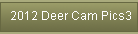 2012 Deer Cam Pics3