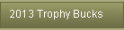 2013 Trophy Bucks